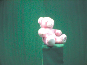 270 Degrees _ Picture 9 _ Pink Floral Design Teddy Bear.png